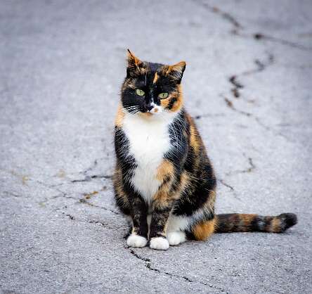 Ливадия, окрестности