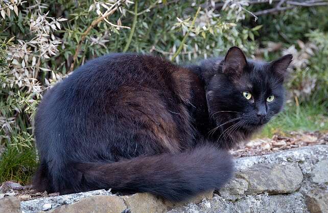 Ливадия, окрестности