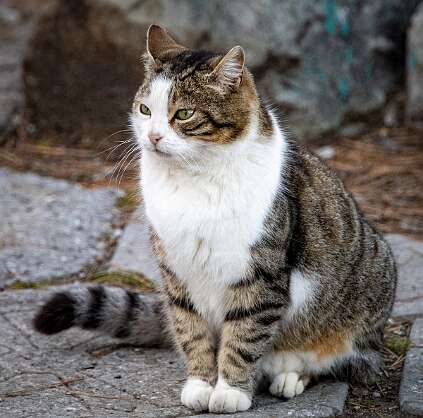 Ливадия, окрестности