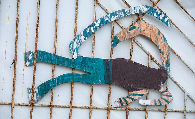 Ливадия, набережная Это не котик. Но кто? Тзис из зе квесчен!